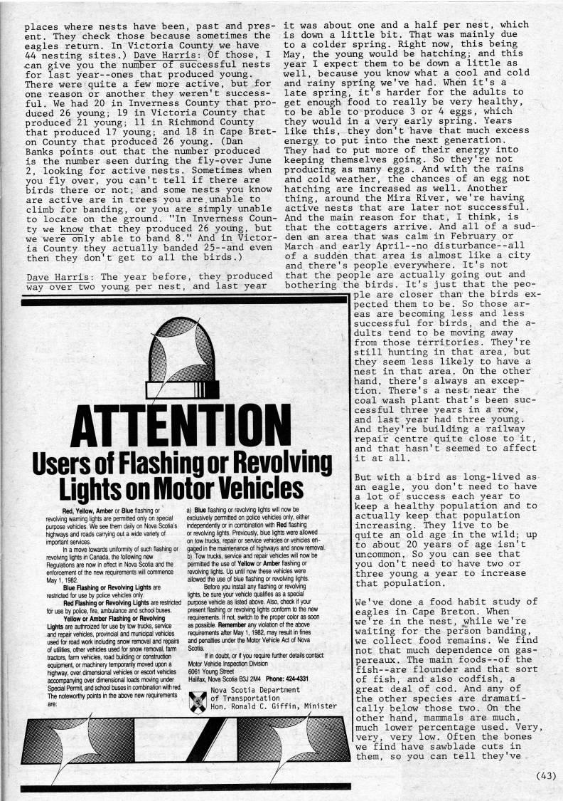 Page 43 - On the Banding of Eagles