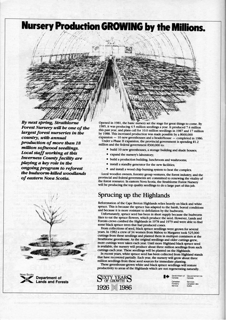 Page 28 - Working on the Sydney Coal Piers