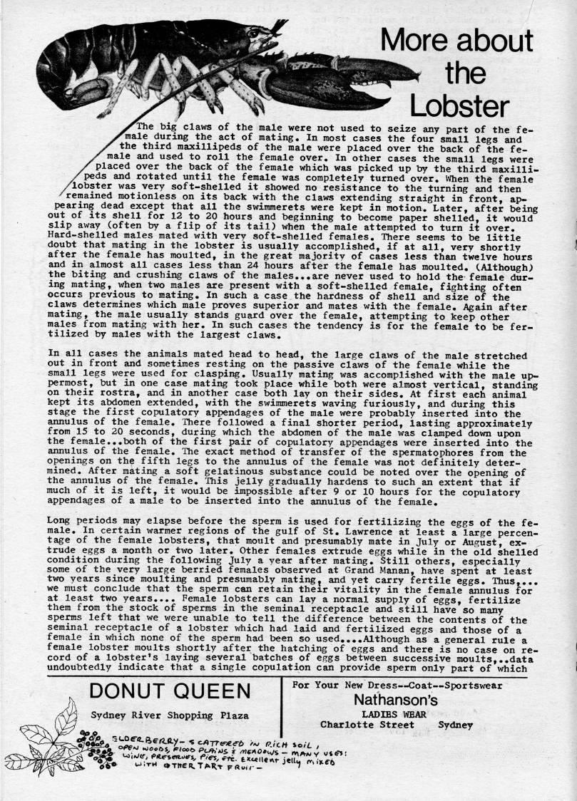 Page 16 - More about the Lobster