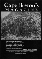 Issue 7